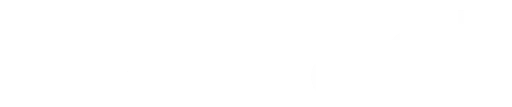 Abstract - Digital Partner
